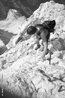 ferrate_22 ferrate_22